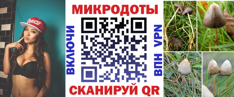 Галлюциногенные грибы мухоморы  где можно купить   Спасск 